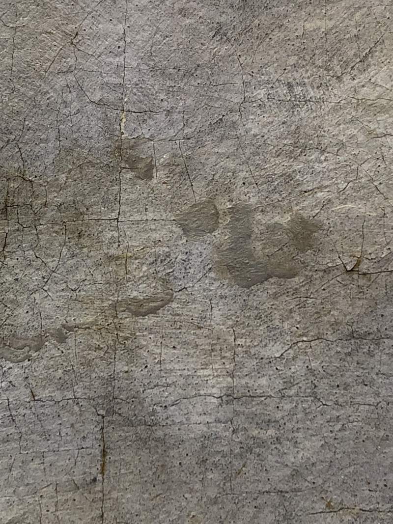 Restauration de tableaux dans les Landes (40) 